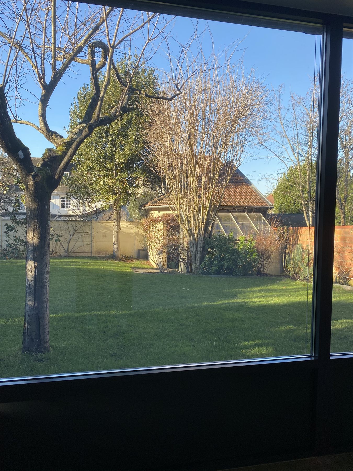 Vue ensoleillée sur le jardin depuis le studio de Pilates